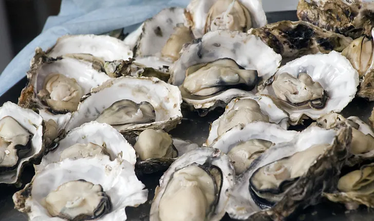 Oysters, food that increases male potency Delicious, many benefits